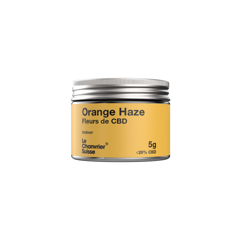 Orange Haze CBD Top Shoot - 1 pc.