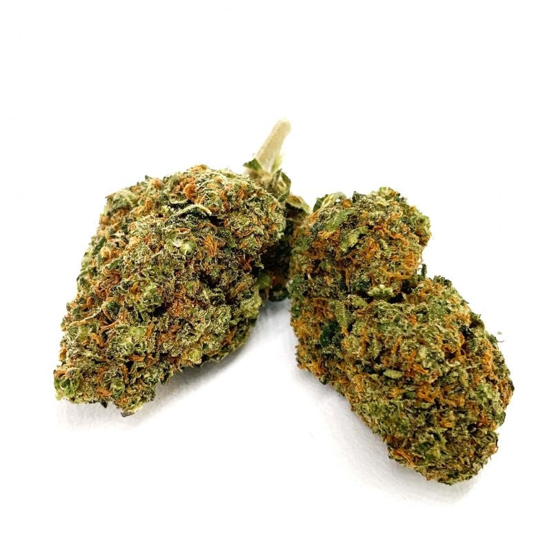 Orange Haze CBD Top Shoot - 1 pc.