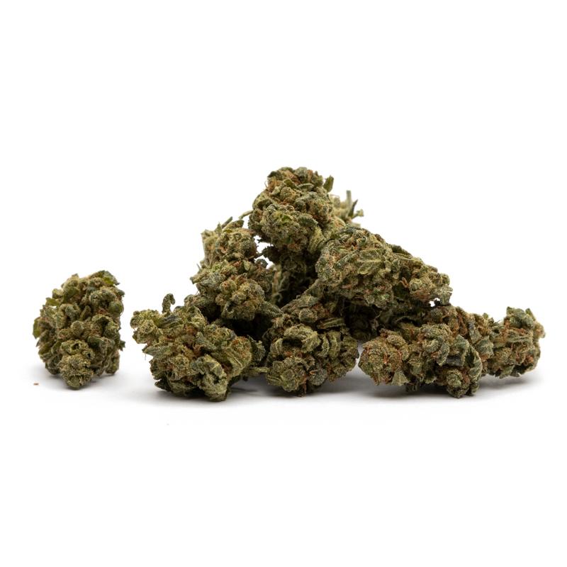 Harlequin CBN Top Bud CBD: 10.05%